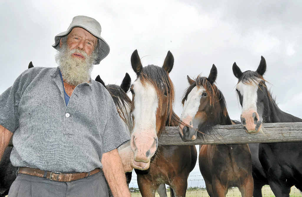 HORSES AND HISTORY: Mick Bradford is getting ready for his annual Heavy Horse Day on Sunday, with large crowds expected at his Yangan property.